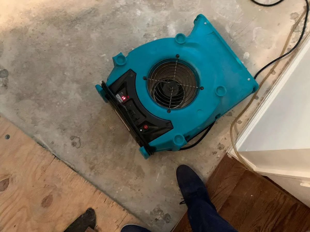 Air mover drying subfloor during Leak Detection & Repair in Buffalo